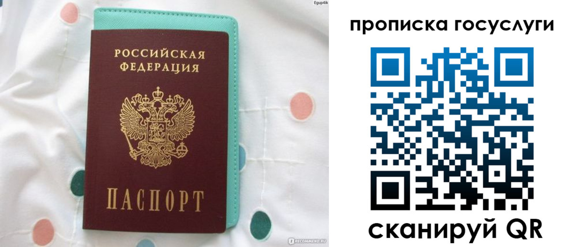 прописка поиск в Ростовской области